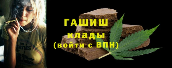 индика Ельня